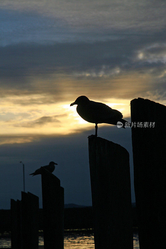 日落黄金