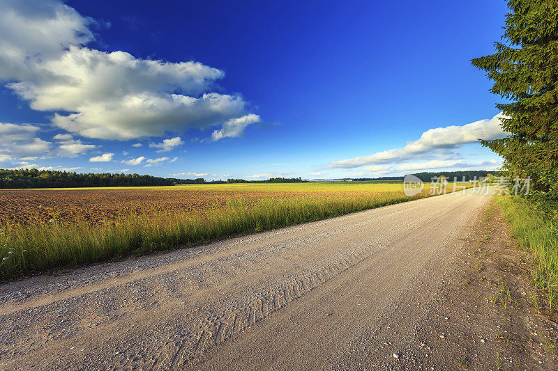 农村道路