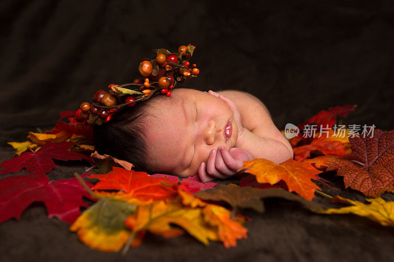 新生女婴躺在秋叶上