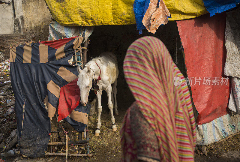 一位印度妇女走过一匹马
