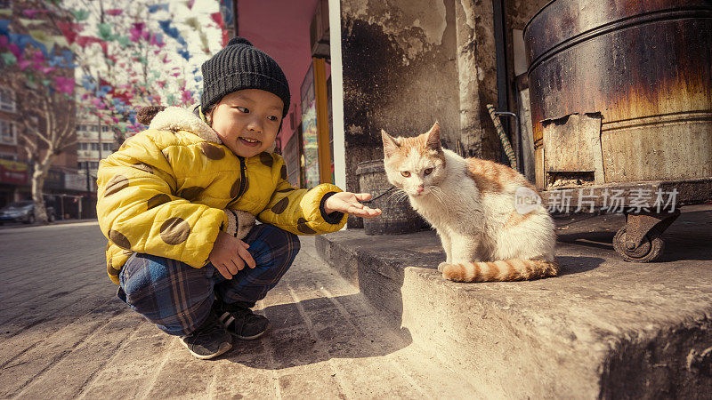 可爱的孩子和猫