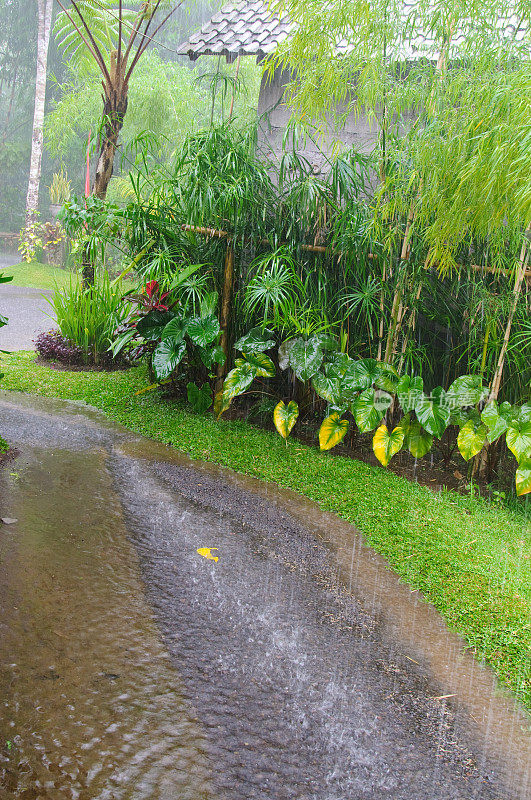 大雨