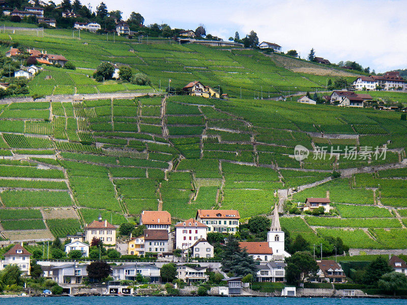 湖滨葡萄园和瑞士村庄附近的蒙特勒瑞士