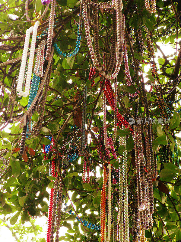 路易斯安那州新奥尔良的狂欢节珠子和手镯树