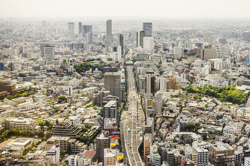 城市天际线，东京，日本