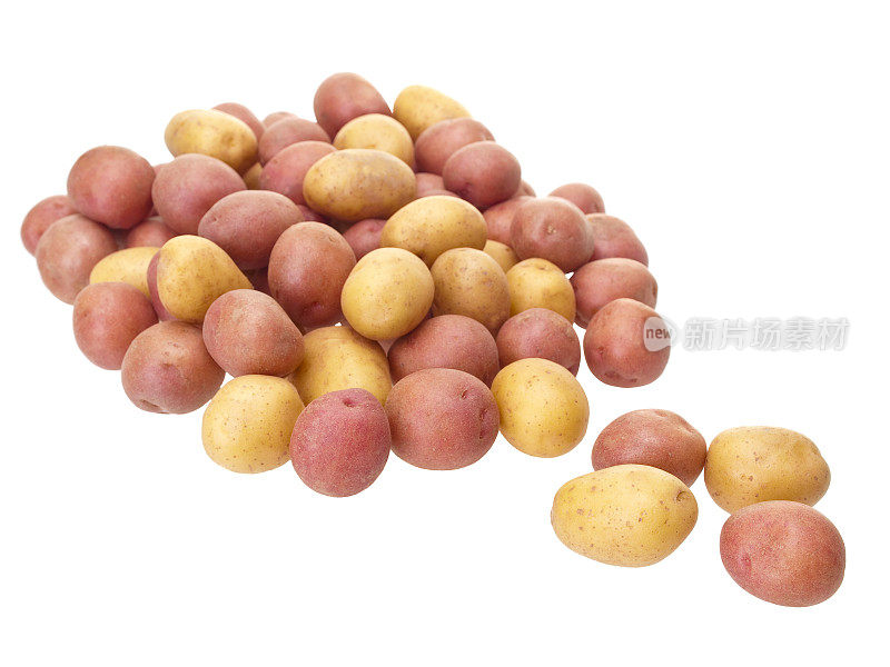 纯白背景上的小土豆