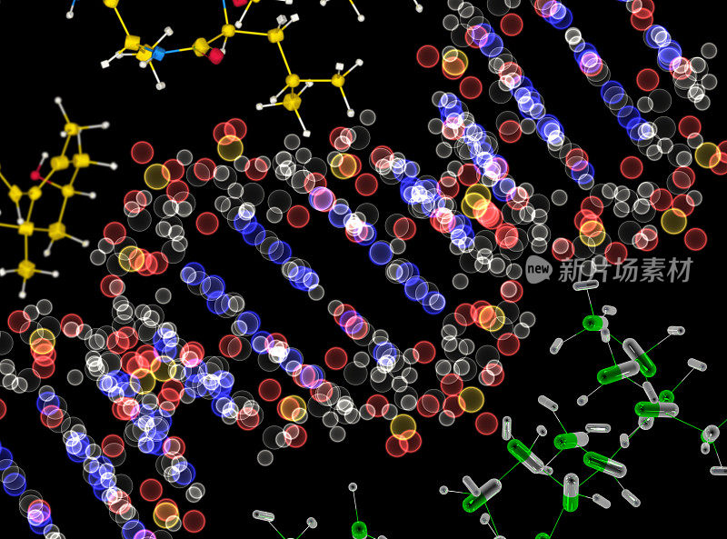 药物模型：DNA