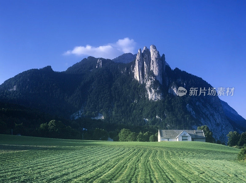 蓝天下的田野风景