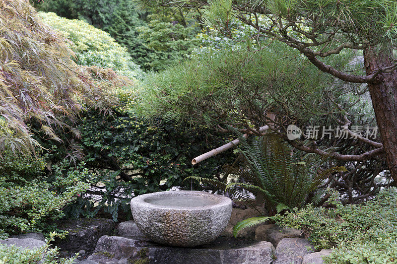 混凝土竹水喷泉波特兰日本花园俄勒冈特写