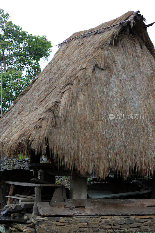 印度尼西亚:弗洛雷斯的兰加斯山部落村