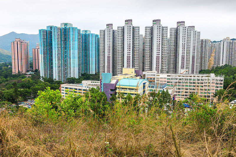 沙田，树木，摩天大楼，山，香港，中国