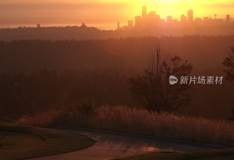 西雅图日落天际线，城市，建筑，暖色调，明亮的颜色