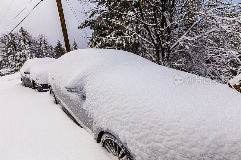 汽车被埋在风雪中