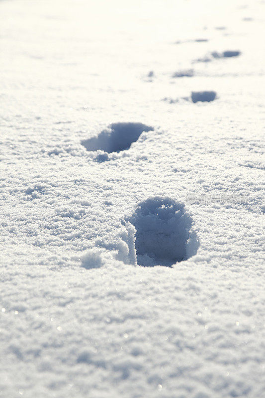 雪地里的脚印