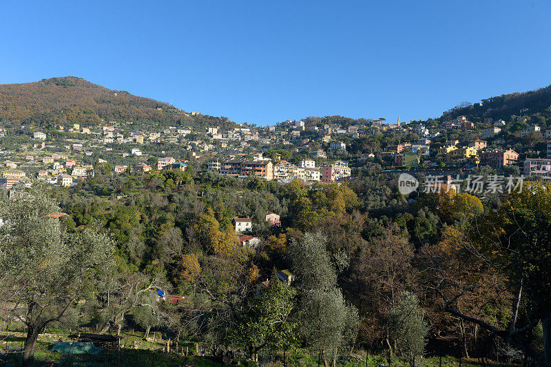 卡莫格利村