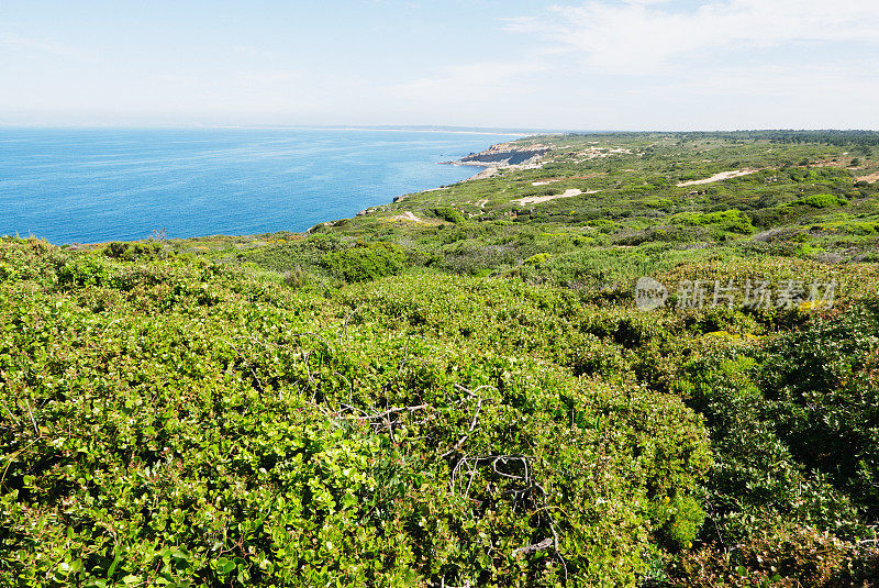 葡萄牙海岸Setúbal