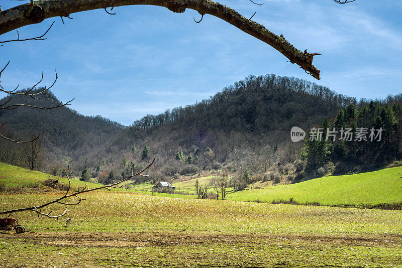 北卡罗莱纳州的乡村风光