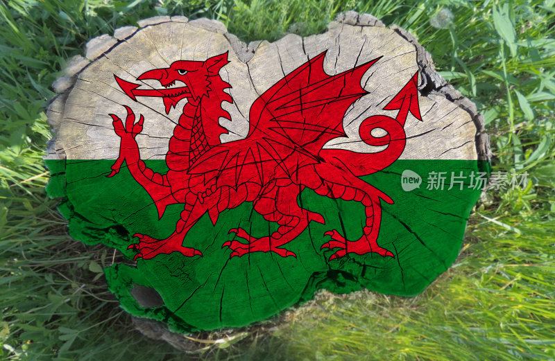 在树桩上画着一面威尔士旗