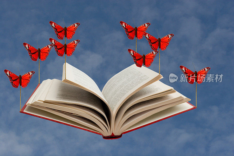蝴蝶带本书