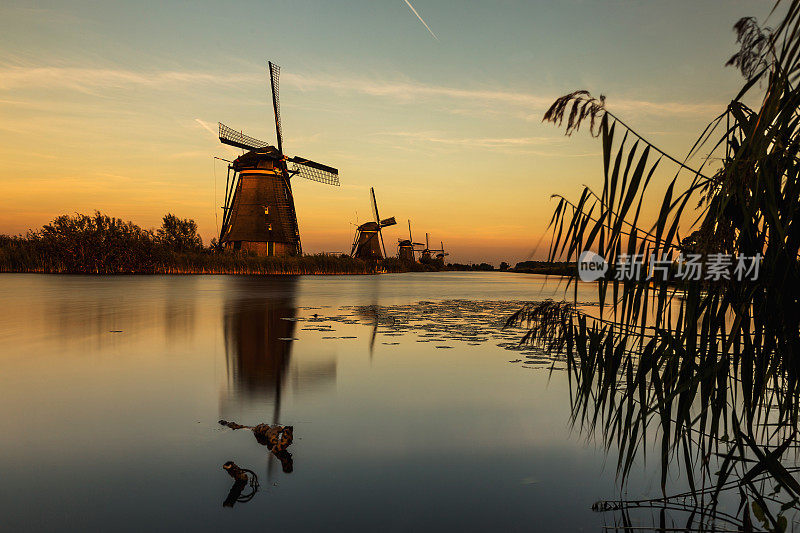 在著名的金德杰克运河上有风车的绚丽秋景。欧洲荷兰肯德迪克村的日落。