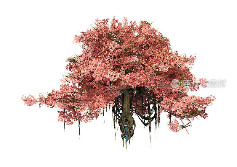 3D渲染古老的童话树在白色
