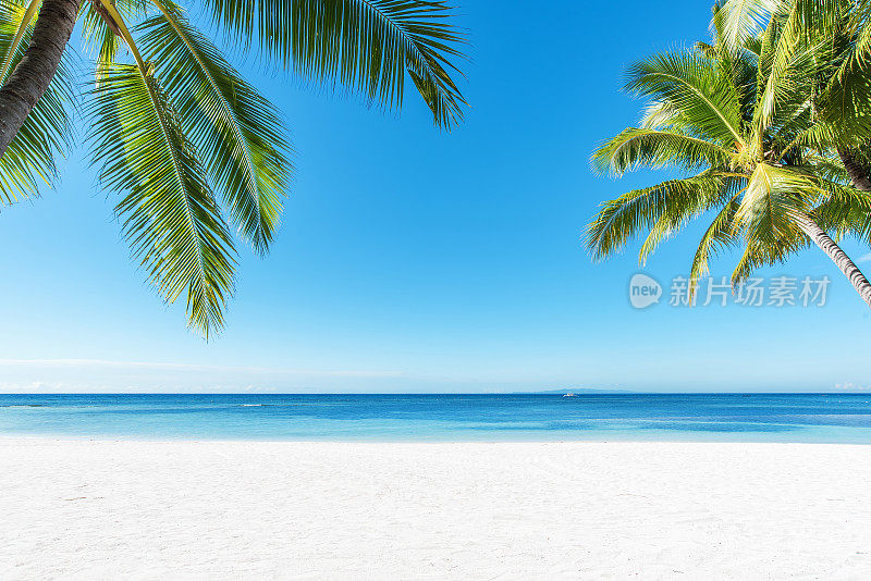 棕榈树和热带海滩背景
