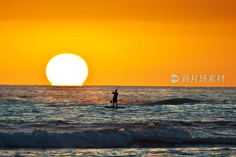 夏威夷日落与桨板冲浪者在普伊普海滩考艾岛