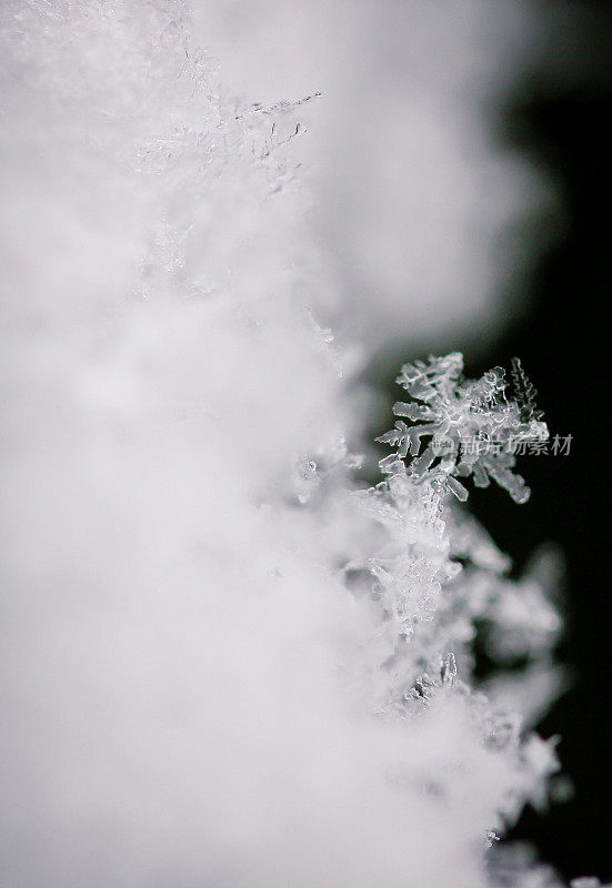 雪晶体近宏