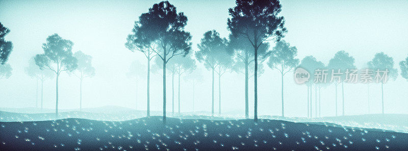 雾林的抽象全景图像