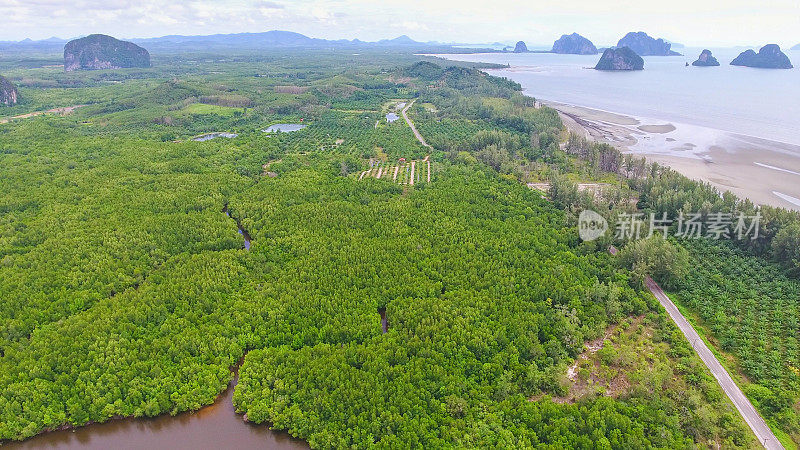 泰国董省红树林和海洋鸟瞰图，
