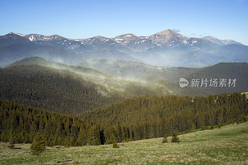 喀尔巴阡山脉的针叶树花粉云