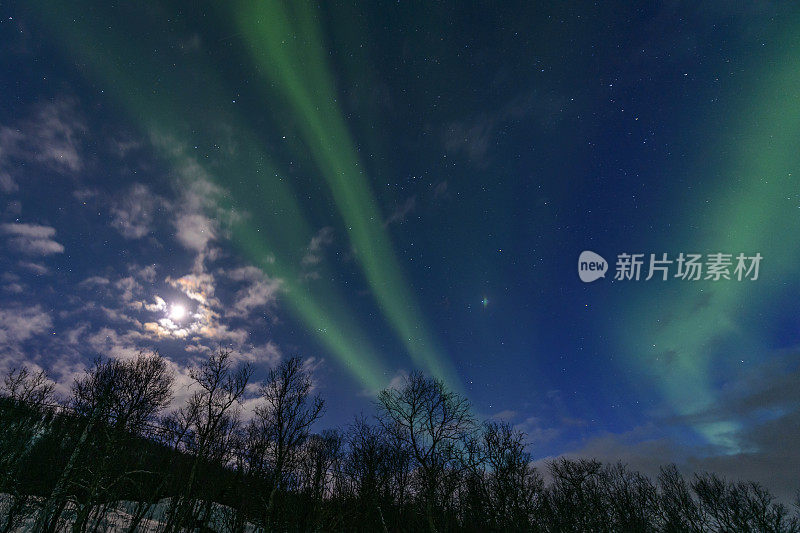 北极光挪威北部夜空中的北极光