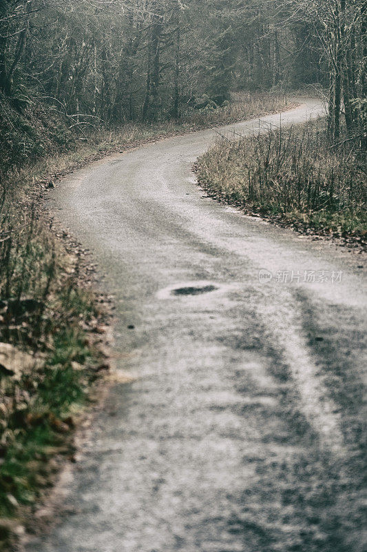 穿过森林的狭窄蜿蜒的道路