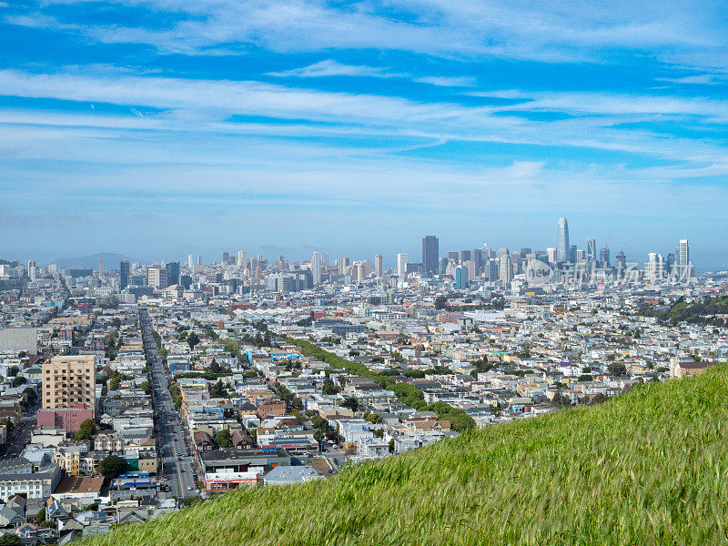 草地俯瞰旧金山的城市景观