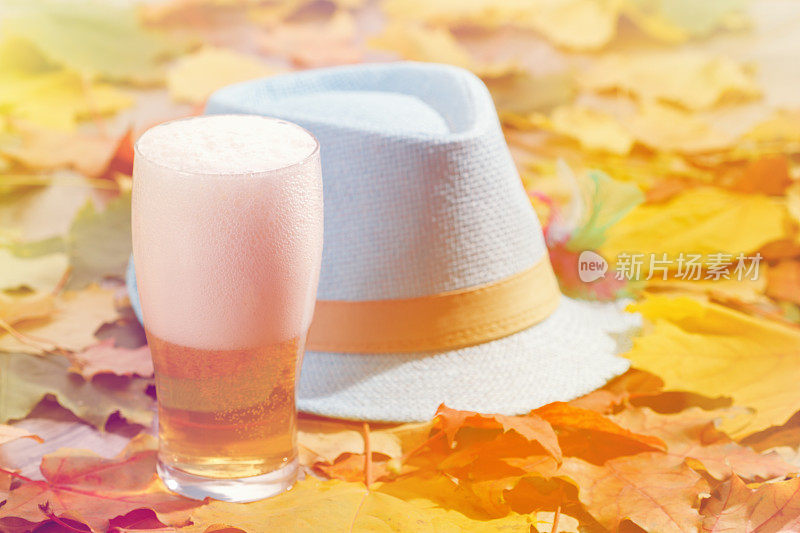 啤酒杯品脱的十月野餐在自然的背景与帽子和秋天的树叶