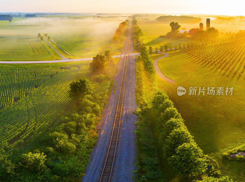 夏末日出时朦胧的铁路轨道。