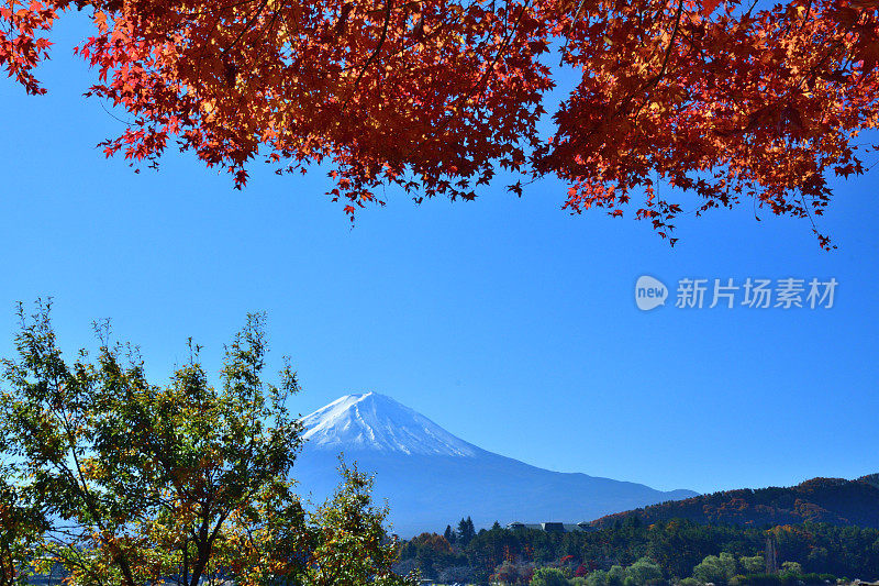 日本富士五湖地区的富士山和秋叶色