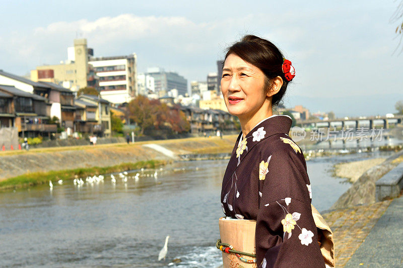 穿着和服的日本妇女在京都的秋天沿着加茂河行走