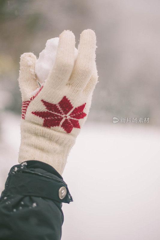 雪球在手里