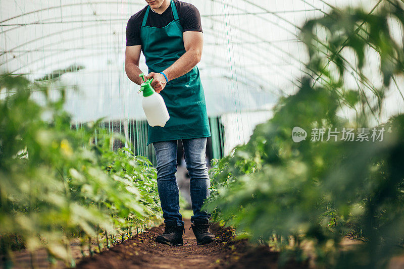 在菜场工作的男人