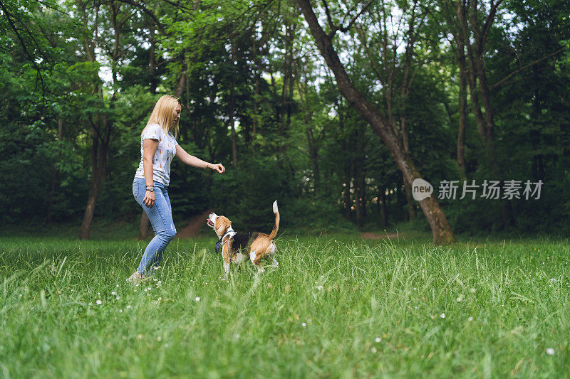 一个年轻女子在公园里和狗玩