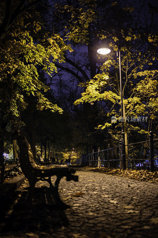 秋夜在城市大道(HDRi)