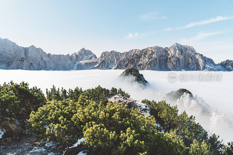 山峰从雾中突兀而出