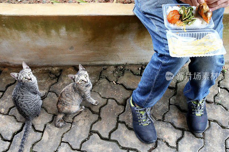 吃饭的时间到了!Meowwww……