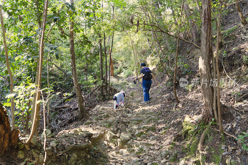 女人喜欢和边境牧羊犬一起徒步旅行