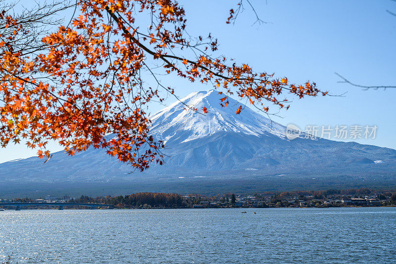 日本富士山的秋天