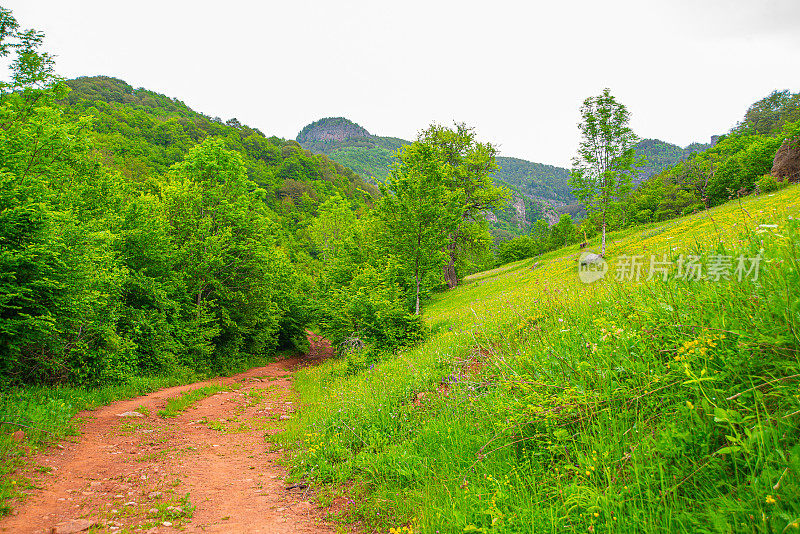 蜿蜒的道路在老山或斯达拉平原的乡间穿行