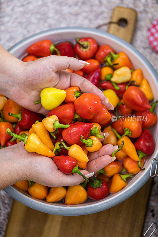 一名年轻女子正在清洗新鲜的有机辣椒并准备把它们放在罐子里保存