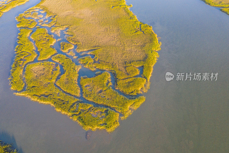 沼泽地的鸟瞰图