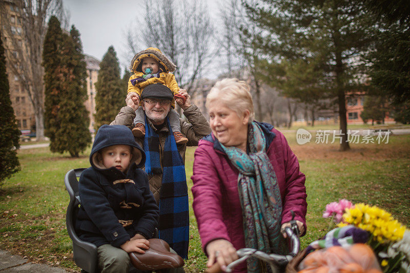 活跃的老夫妇和孙子在户外骑自行车散步。